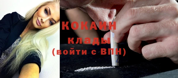 ПСИЛОЦИБИНОВЫЕ ГРИБЫ Белоозёрский