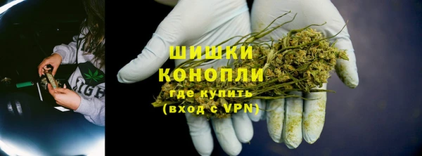 ПСИЛОЦИБИНОВЫЕ ГРИБЫ Белоозёрский