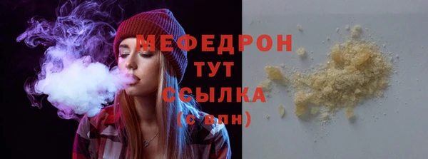 индика Беломорск