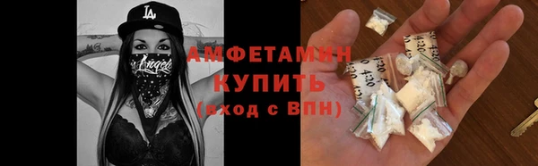 индика Беломорск