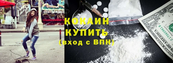 индика Беломорск