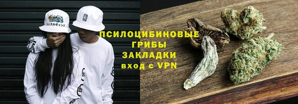 индика Беломорск