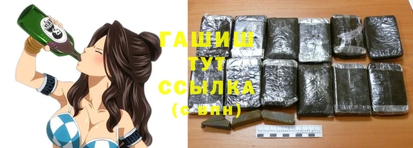 индика Беломорск