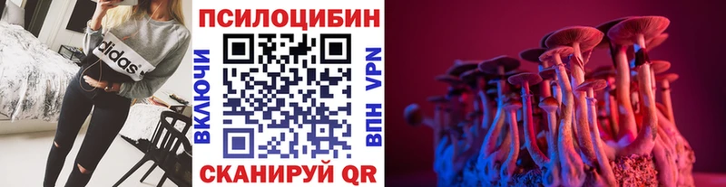 Псилоцибиновые грибы мухоморы  KRAKEN ТОР  Купино 
